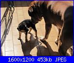 il gigante e la bambina-img_1300-jpg