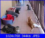 La mia piccola tribù!-sam_0137-jpg