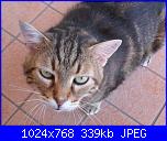 La mia piccola tribù!-sam_0138-jpg