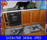 La mia piccola tribù!-sam_0154-jpg