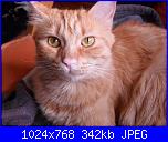 La mia piccola tribù!-sam_0167-jpg