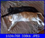 La mia piccola tribù!-sam_0163-jpg