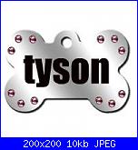 il mio  piccolo spitz-227072_186084421442513_154856711231951_523474_3668600_n-jpg