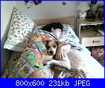 I miei amici a 4 zampe!!!-sp_a0163-jpg