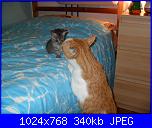 La mia piccola tribù!-sam_0183-jpg