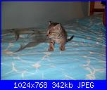 La mia piccola tribù!-sam_0184-jpg