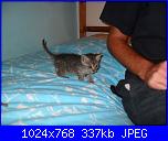 La mia piccola tribù!-sam_0185-jpg