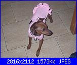 Questa è Lulù!!-lul-016-jpg