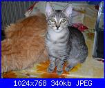 La mia piccola tribù!-sam_0233-jpg