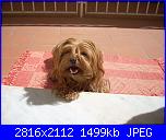 Kuma-5-aprile-2008-011-jpg