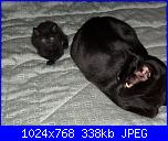 La mia piccola tribù!-sam_0309-jpg