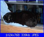 La mia piccola tribù!-sam_0333-jpg