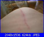 E' arrivato Merlino.-dscn2314-jpg