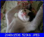 E' arrivato Merlino.-dscn2319-jpg