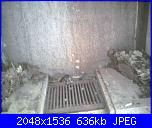 aiuto un ghiro!!!!!-foto0397-jpg