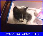 il mio piccolino-dsc_0083-jpg