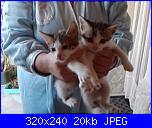 Le new entry in casa mia......-p281112_07-31-jpg