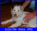 La mia piccola tribù!-sam_0485-jpg