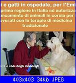 buone notizie : emilia romagna divieto catene per cani e...-409190_472718672798349_565429443_n-jpg