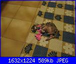 ecco il mio nuovo piccino-001-jpg