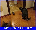 ecco il mio nuovo piccino-027-jpg