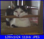 La mia piccola tribù!-fotografie-0007-jpg