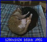 La mia piccola tribù!-fotografie-0001-w-jpg