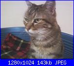 La mia piccola tribù!-fotografie-0019-jpg