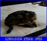 La mia piccola tribù!-fotografie-0030-jpg