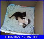 La mia piccola tribù!-fotografie-0019-jpg