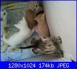 La mia piccola tribù!-fotografie-0070-jpg