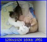 La mia piccola tribù!-fotografie-0068-jpg