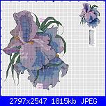 Gli schemi di Morgana bell-iris-jpg