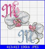 Gli schemi di gemini-2-cuscino-fedi-orchidee-m-g-jpg