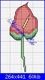 schemi di MAMMAELE-anthuriun-ele-jpg