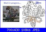 Gli schemi di JRosa work in progress-papagaj02-jpg