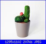 Puntaspilli cactus-1-jpg
