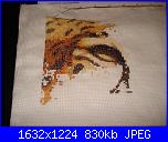 Ecco i miei WIP...spero che vi piacciano baby1264-dsc06490-jpg