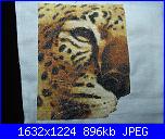 Ecco i miei WIP...spero che vi piacciano baby1264-dsc06509-jpg