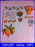 WiP Sampler Agrumi per la Cucina-img_1607-jpg