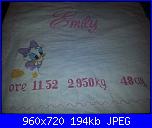 W.I.P. Sampler Nascita Paperina di Natalia-1560541_10202956566549091_1987793086114424375_n-jpg