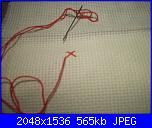 I signori conigli-1-jpg