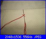 I signori conigli-2-jpg