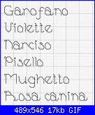 quadretti benef 2011-nomi-fiori-2-gif