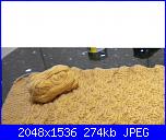 Progetto beneficenza 2011 "sezione Lavori ai ferri"-coperta-scaldagambe-jpg