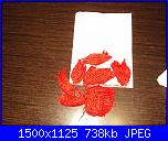 Foto per La maglia del cuore di Megghy.com-dsc02308-jpg