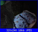 nuova richiesta Missione speranza e carità-p130912_10-41-jpg