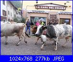 Fiera Franca di Ulzio-immagine-024-jpg