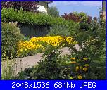 semenza in regalo-015-jpg