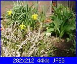 bordura fiorita-erica-narcisi-jpg